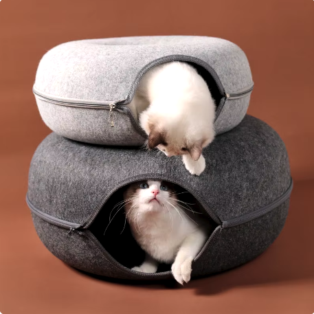 2-in-1 Interactive Cat Bed and Tunnel